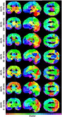 Disentangling Multispectral Functional Connectivity With Wavelets